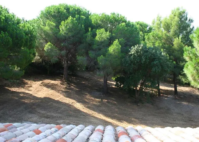 Maison élégante à Avec Vue Sur La Sainte-Maxime